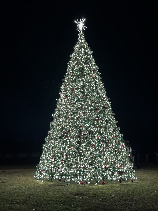 A large lit commercial Christmas tree seen across an open plaza lawn after dark.