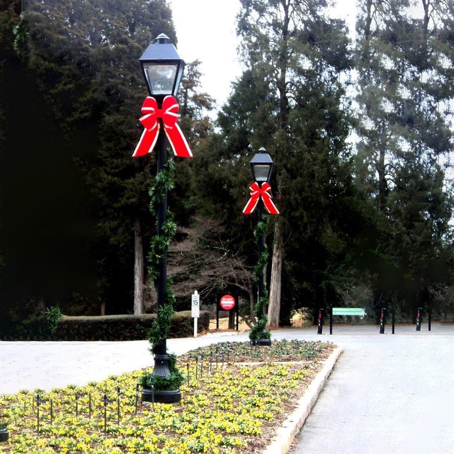 A lamp post wrapped in garland with a red bow at the top.