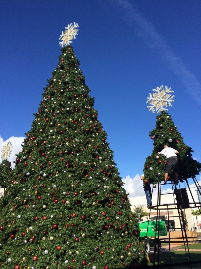 A large commercial panel branch display tree lit at a public plaza.