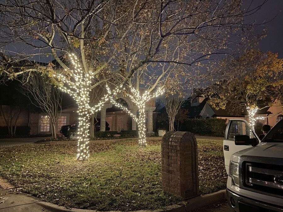 Wrapped trees lining a property drive at night, lighting the approach from both sides.