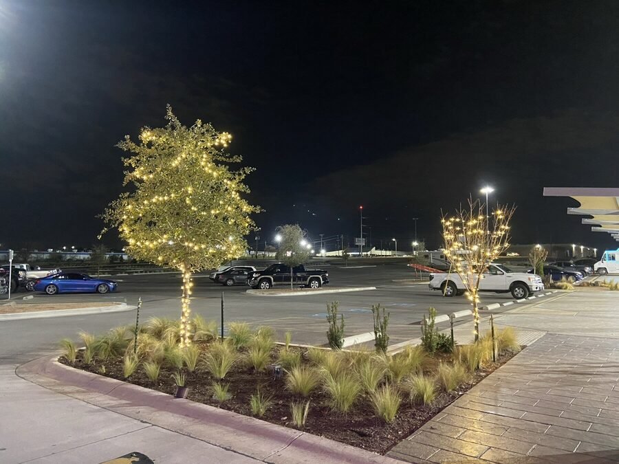 Trees wrapped trunk and canopy in warm white lights across a retail center parking lot at night.