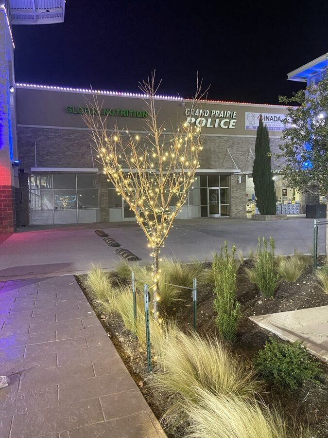 A wrapped tree lighting a pedestrian walkway at a retail center after dark.